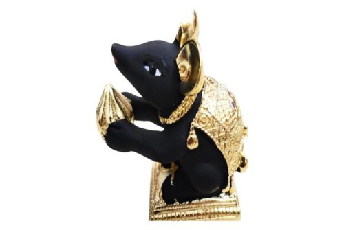 Mahamart Mooshak Idol