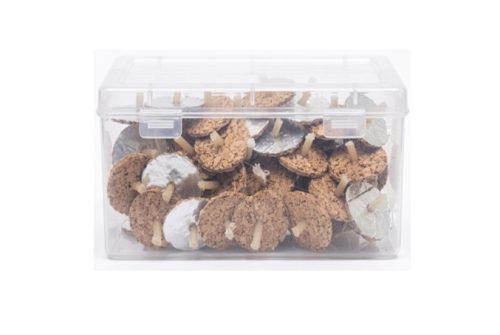 Mahamart Floating Diva Box