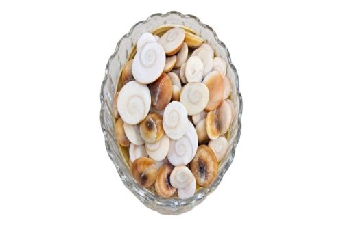 Mahamart Gomti chakra Per Pcs